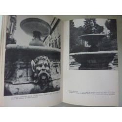 LE FONTANE DI ROMA