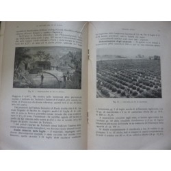 I LIBRI DELL'AGRICOLTORE, Manuali e Testi di Agricoltura Moderna n.° 9  LA COLTURA DEL TE' IN ITALIA