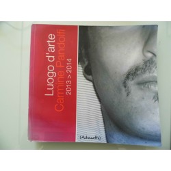 Luogo d'Arte CARMINE PANDOLFI 2013 - 2014