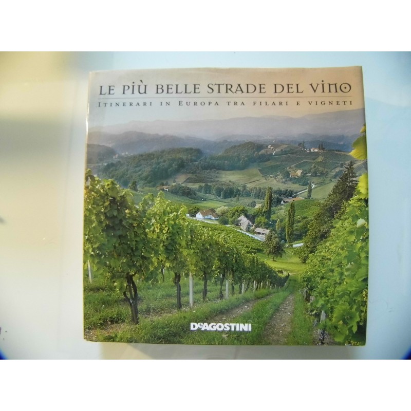 LE PIU' BELLE STRADE DEL VINO ITINERARI IN EUROPA TRA FILARI E VIGNETI