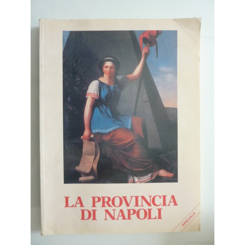 LA PROVINCIA DI NAPOLI Speciale NAPOLI TRA DUE RIVOLUZIONI  1789 - 1799