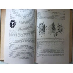 APPLIED ENTOMOLOGY An Introductory Textbook of Insects in Their Relations to Man